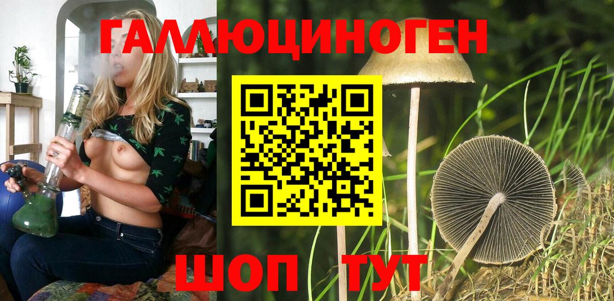 Псилоцибиновые грибы MAGIC MUSHROOMS  Вход с VPN  Вязники 