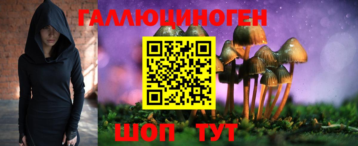 Псилоцибиновые грибы прущие грибы Вязники